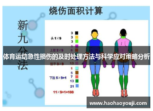体育运动急性损伤的及时处理方法与科学应对策略分析