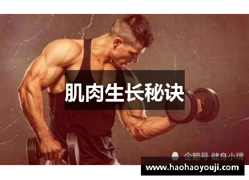 肌肉生长秘诀