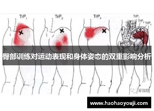 臀部训练对运动表现和身体姿态的双重影响分析