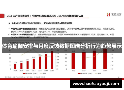 体育瑜伽安排与月度反馈数据图谱分析行为趋势展示