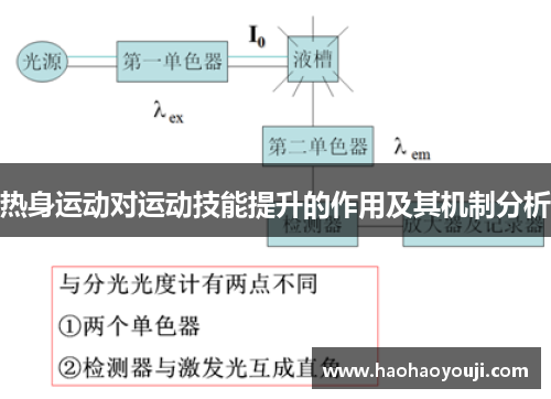 热身运动对运动技能提升的作用及其机制分析